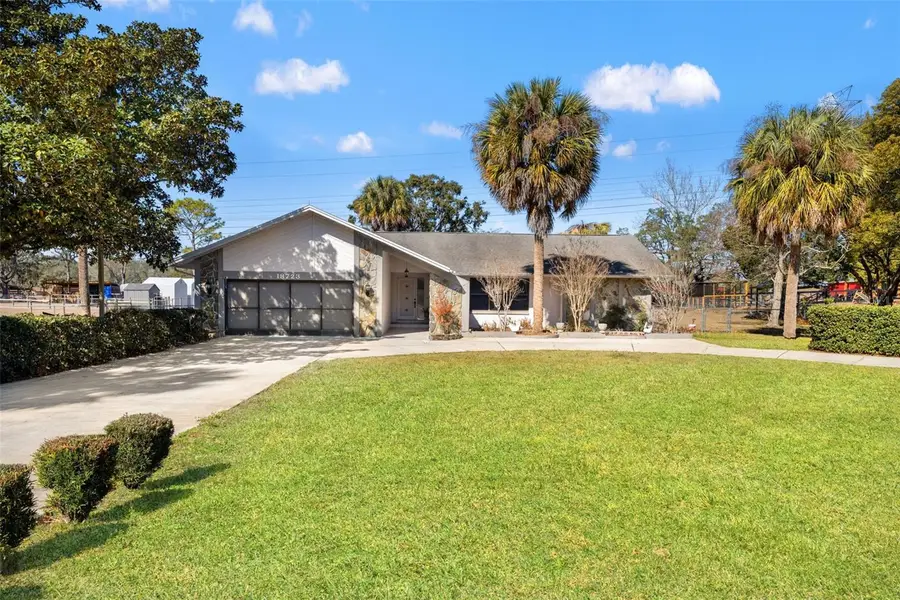 18723 Floralton Drive, Spring Hill, FL 34610 - #3