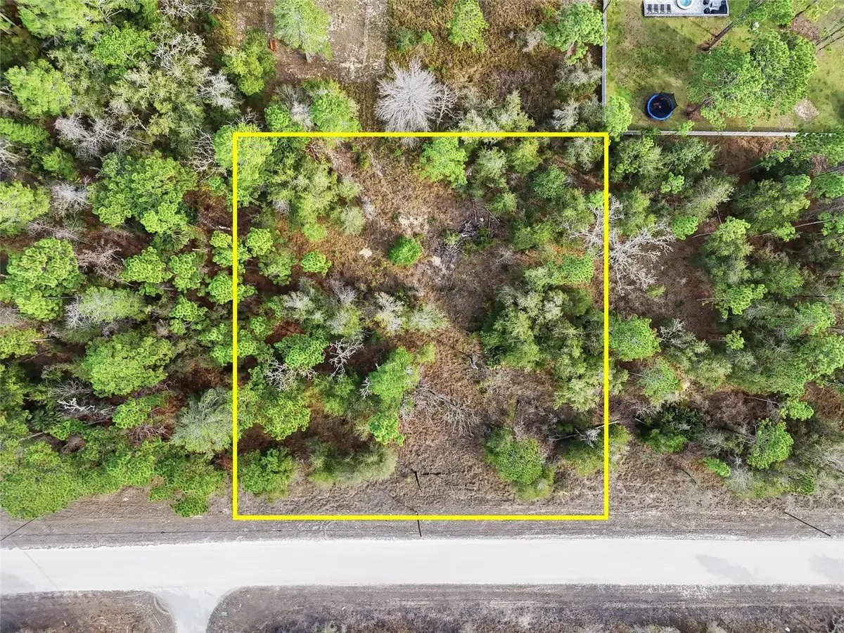 Chimney Swift Road, Weeki Wachee, FL 34614 - #1