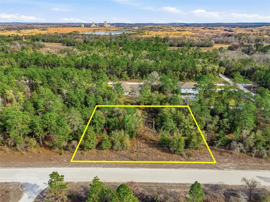 Chimney Swift Road, Weeki Wachee, FL 34614 - #2