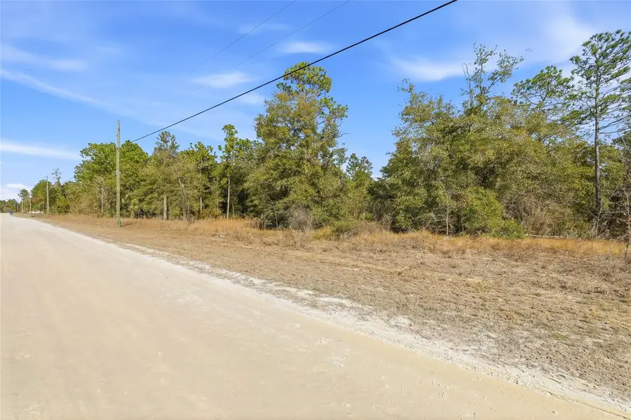 Chimney Swift Road, Weeki Wachee, FL 34614 - #3