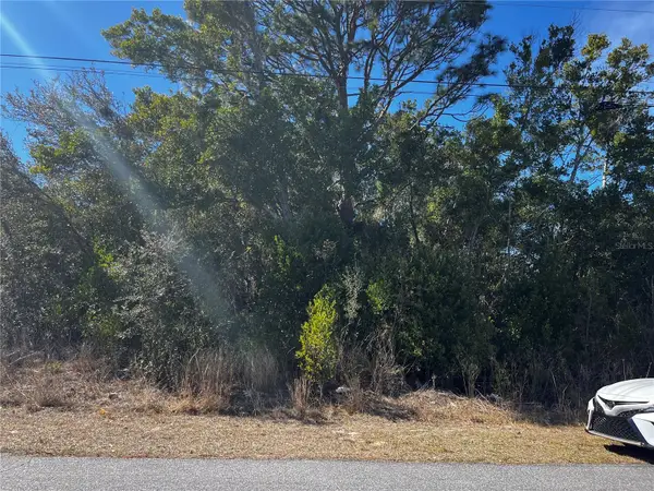 2293 Marietta Avenue, SPRING HILL, FL 34608