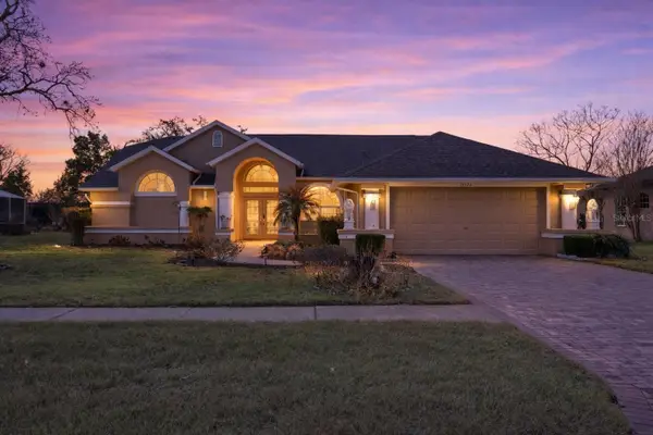 14122 Newcastle Avenue, SPRING HILL, FL 34609