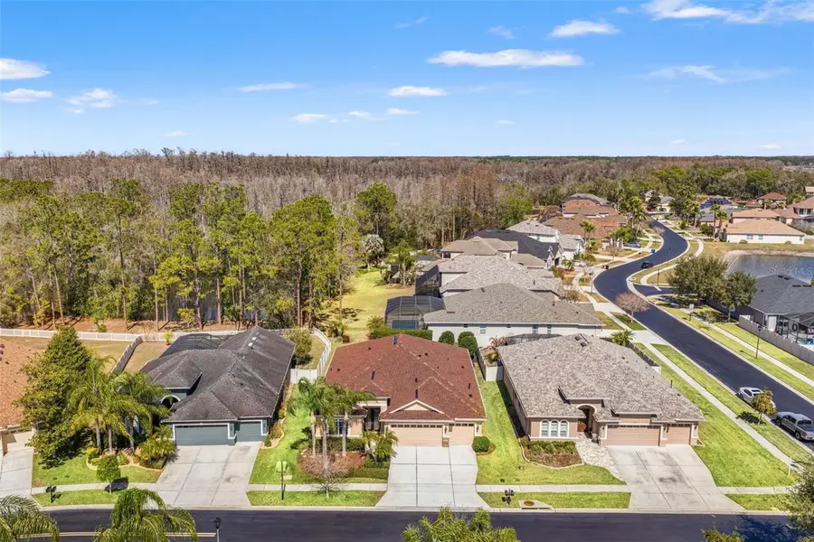 3303 Stonegate Falls Drive, Land O Lakes, FL 34638 - #2