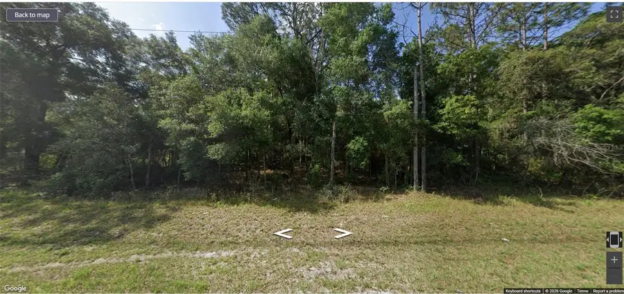 8120 SW 145th Street, Dunnellon, FL 34432 - #2