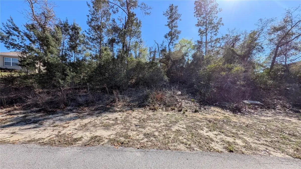 13014 Hanley Drive, Spring Hill, FL 34609 - #1