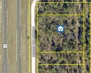 17496 Nicasio Jay Avenue, Weeki Wachee, FL 34614 - #3