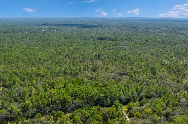 6374 W Parka Court, Dunnellon, FL 34433 - #1