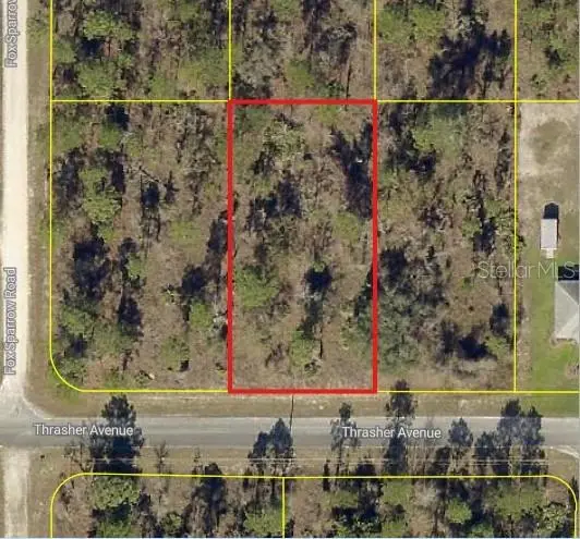 0 Thrasher Avenue, Weeki Wachee, FL 34614 - #2