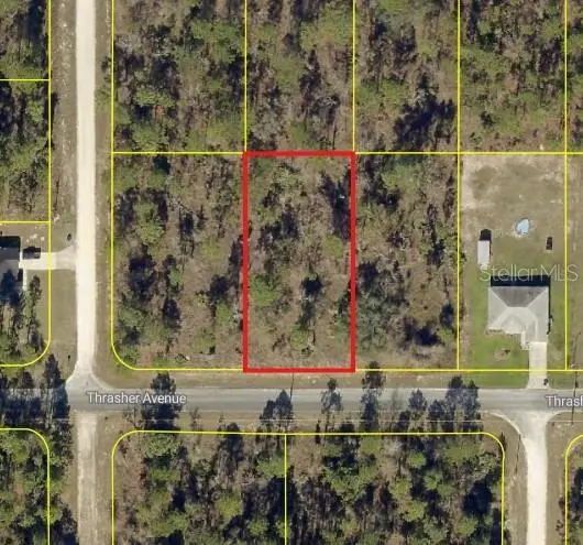 0 Thrasher Avenue, Weeki Wachee, FL 34614 - #3