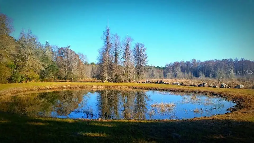 1106 Fox Hunter Rd, Perry, FL 32348 - #1