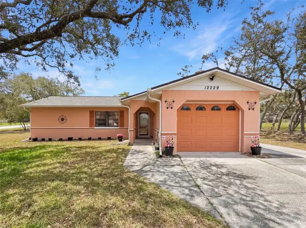 12229 Cedro Street, SPRING HILL, FL 34609