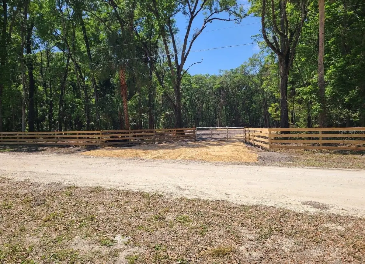 164 NE 293rd Avenue, Old Town, FL 32680 - #1