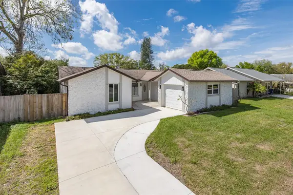 7336 Ivory Terrace, NEW PORT RICHEY, FL 34655