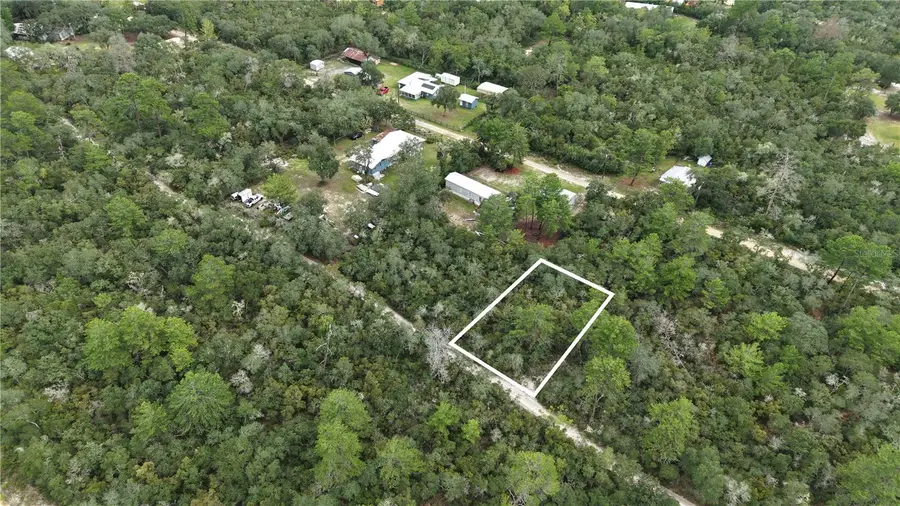 27 NE 235th Street, Fort McCoy, FL 32134 - #2