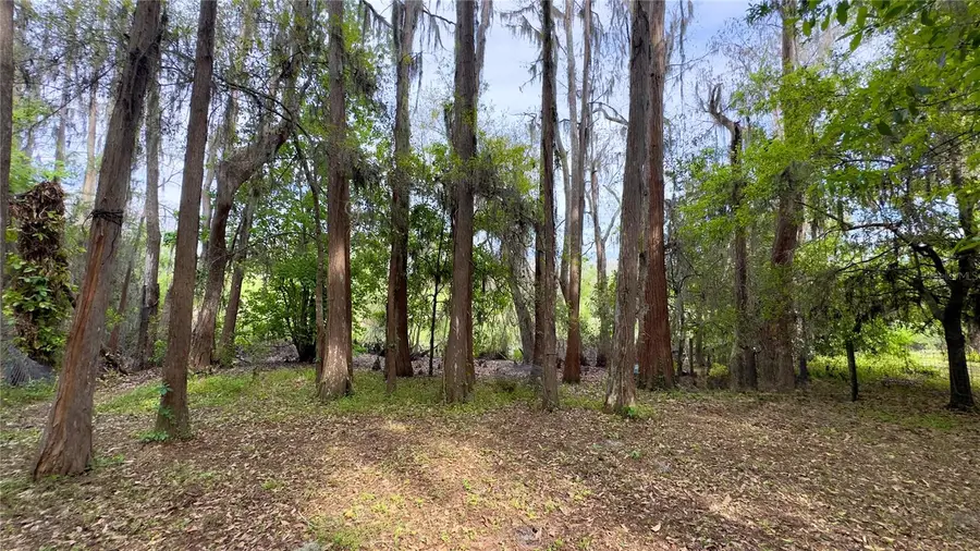 12341 Deer Lake Drive, New Port Richey, FL 34654 - #2