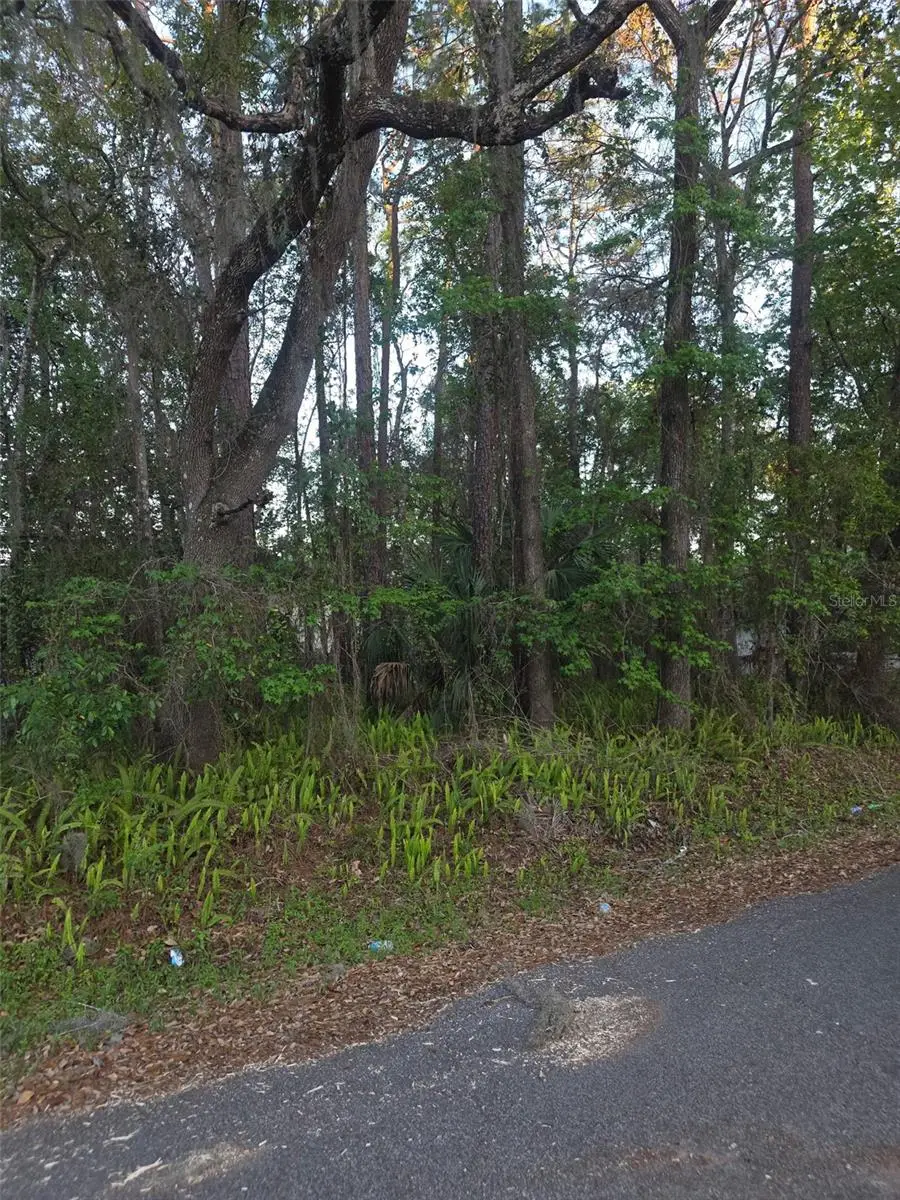 0 Bethune Street, Brooksville, FL 34601 - #1