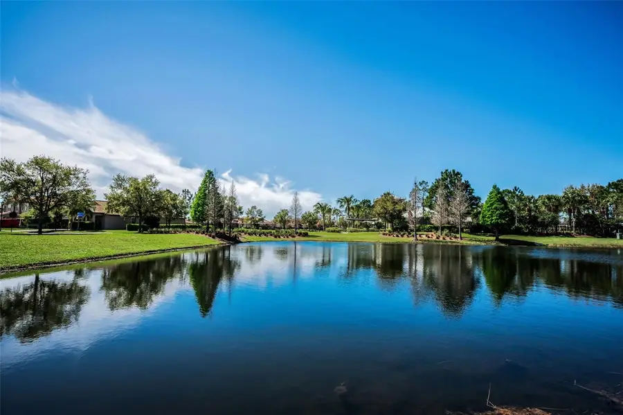 11891 Frost Aster Drive, Riverview, FL 33579 - #3