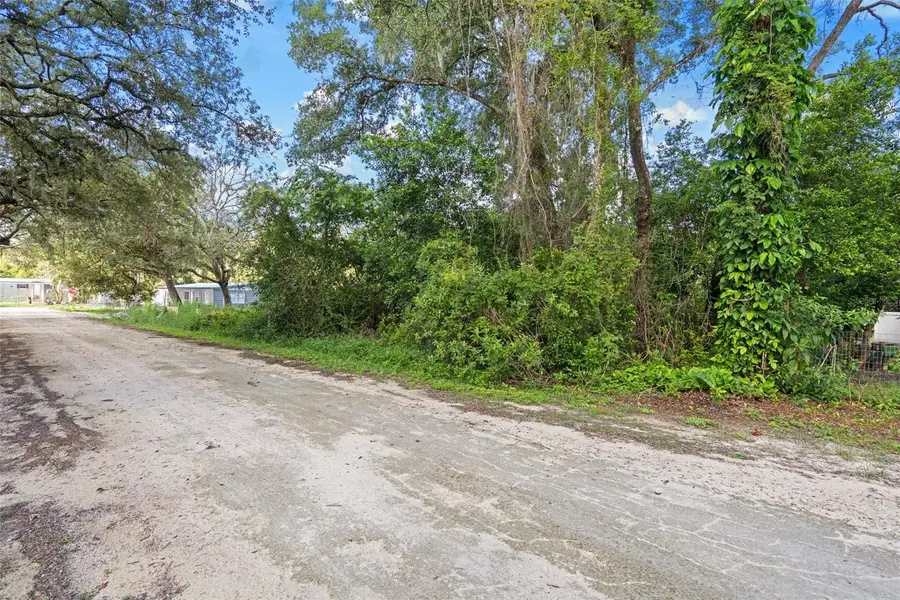 3241 Taffeta Street, Dade City, FL 33523 - #3