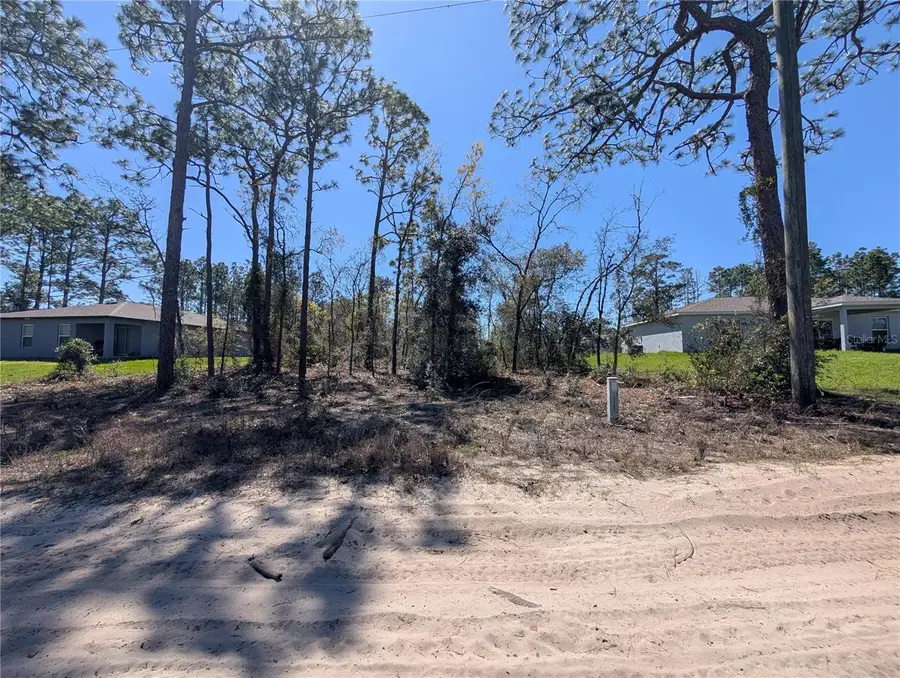 3553 W Wilhelm Street, Citrus Springs, FL 34433 - #3