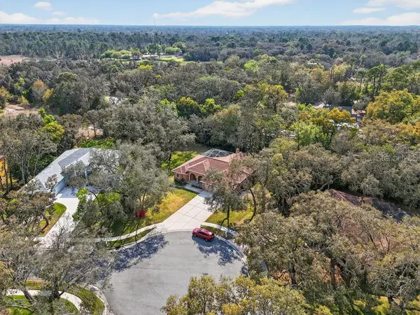 14024 Warm Springs Court, HUDSON, FL 34667