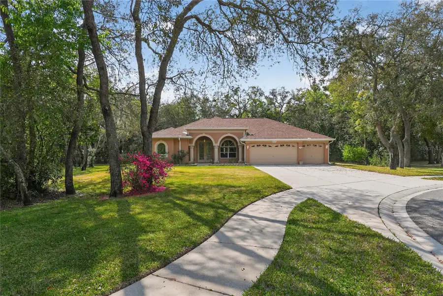 14024 Warm Springs Court, Hudson, FL 34667 - #3