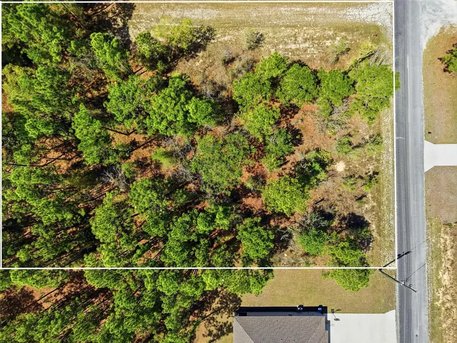 Lot 25 Thrasher Avenue, Weeki Wachee, FL 34614 - #2