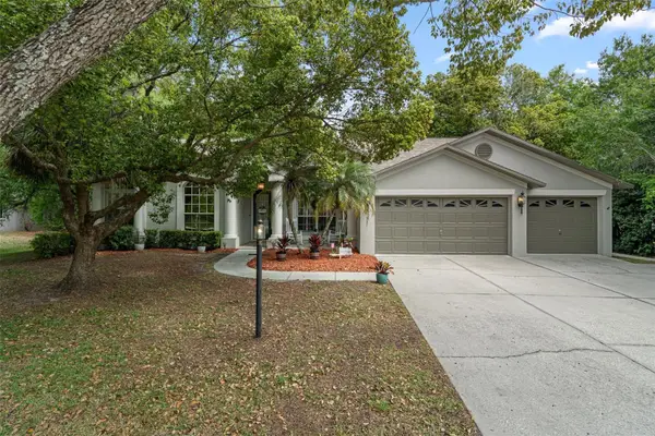10139 Highcrest Lane, NEW PORT RICHEY, FL 34654