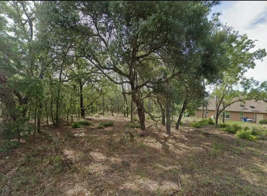 17 Cherrypalm Court, Homosassa, FL 34446 - #2