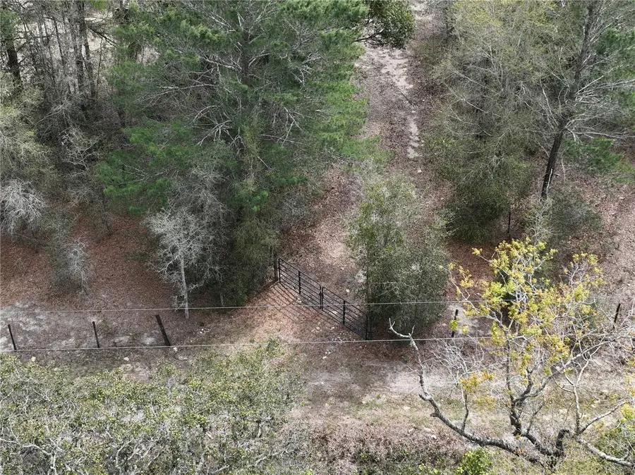 17783 Bonifay Lane, Spring Hill, FL 34610 - #2