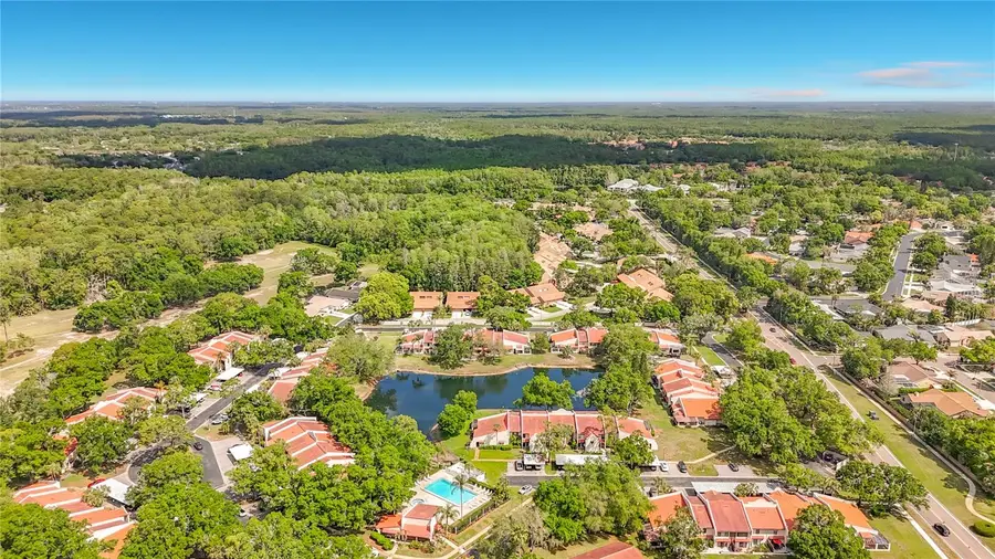 3505 Tarpon Woods Boulevard #P403, Palm Harbor, FL 34685 - #2