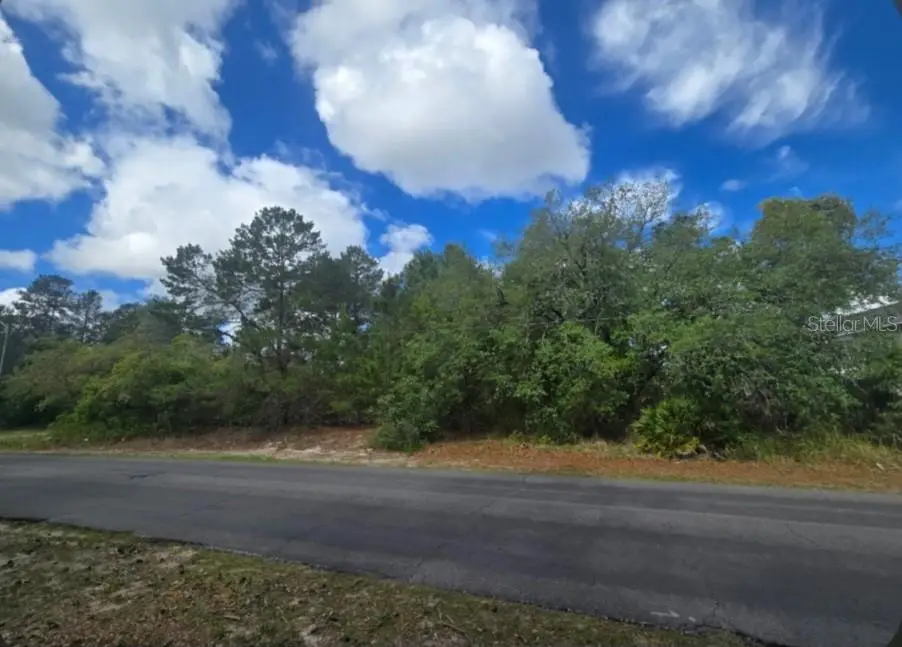 4113 Portillo Road, Spring Hill, FL 34608 - #1