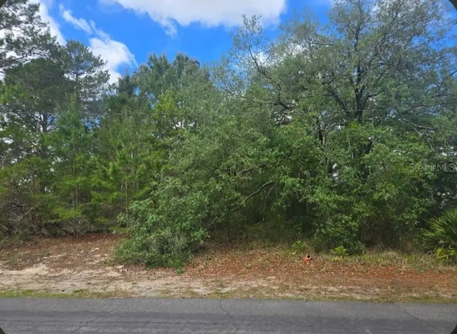 4113 Portillo Road, Spring Hill, FL 34608 - #2