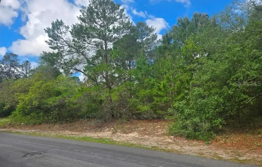 4113 Portillo Road, Spring Hill, FL 34608 - #3