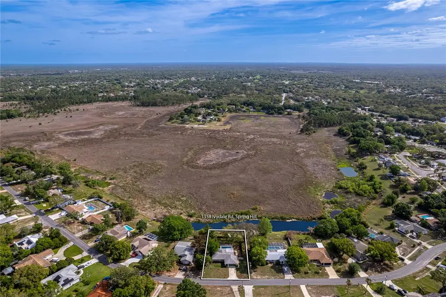 1358 Ivydale Road, Spring Hill, FL 34606 - #2