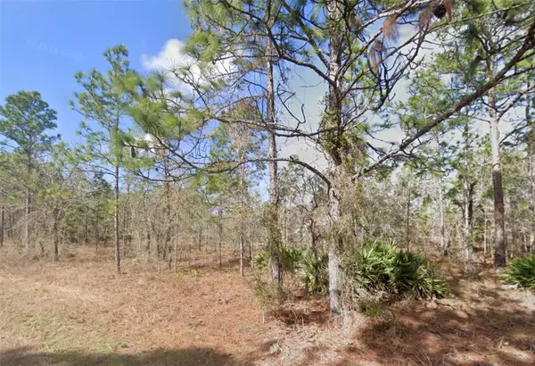 13351 Schick Avenue, BROOKSVILLE, FL 34614