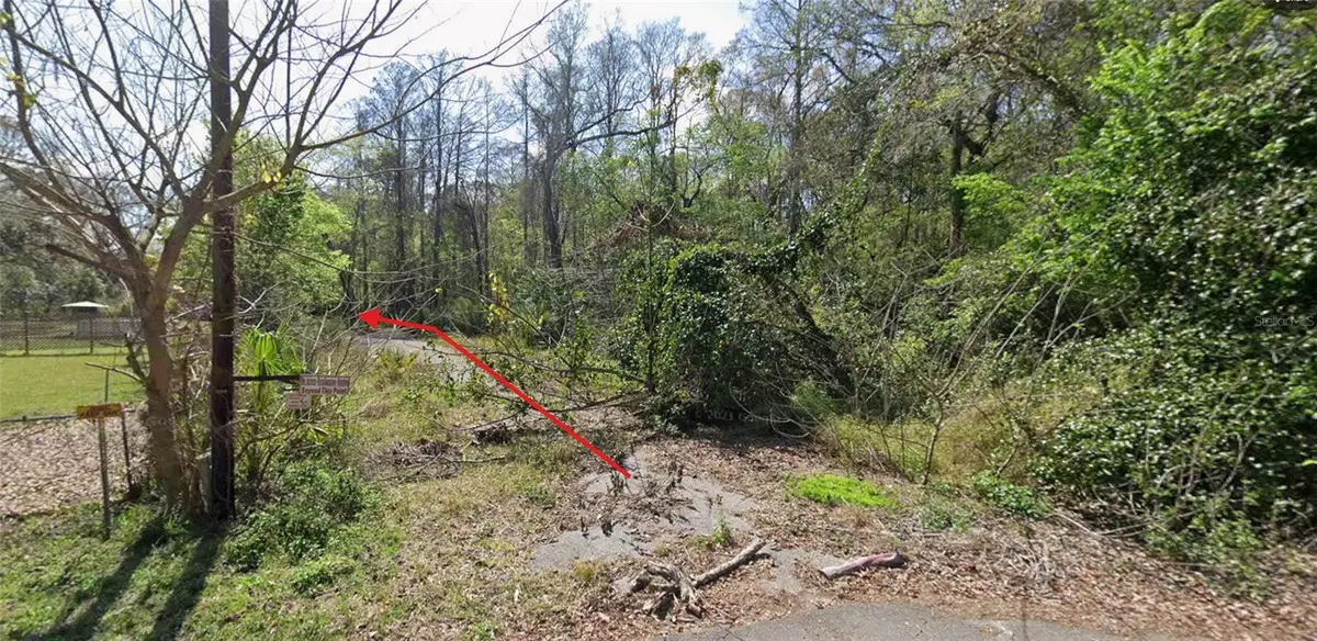 55 Marquerite Avenue, New Port Richey, FL 34654 - #1