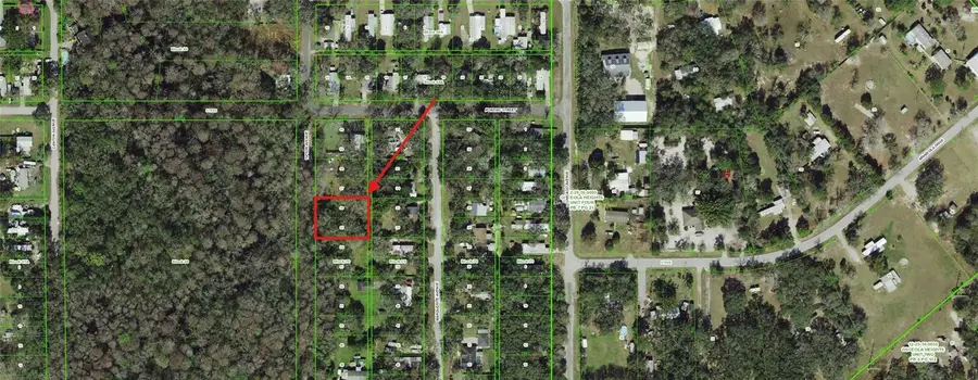 55 Marquerite Avenue, New Port Richey, FL 34654 - #2