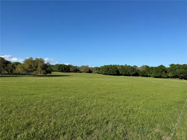 4401 Griffin View Drive, LADY LAKE, FL 32159