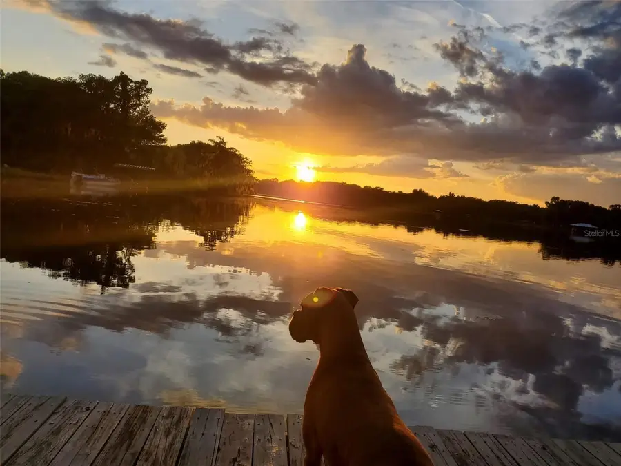 6670 S Merleing Loop, Floral City, FL 34436 - #2