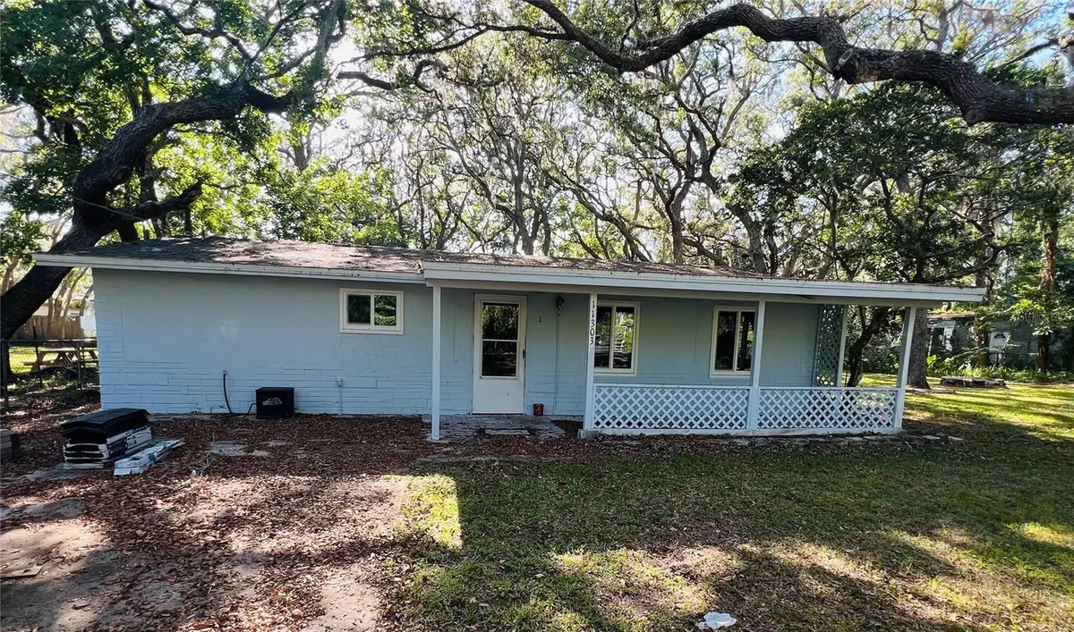 11303 Chicago Avenue, New Port Richey, FL 34654 - #1