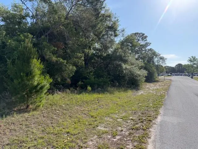 4205 Parkhurst Lane, Spring Hill, FL 34608 - #3