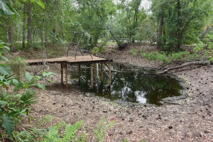 6832 Quail Hollow Boulevard, Wesley Chapel, FL 33544 - #2