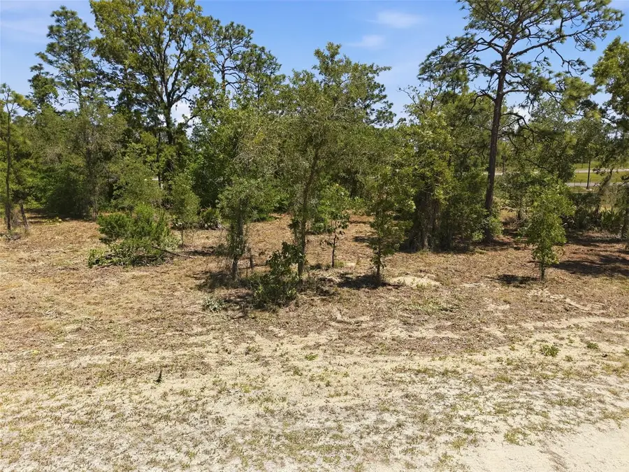 Lot 10 Cagarro Road, Weeki Wachee, FL 34614 - #3