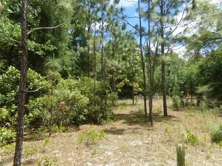 000 Norman Street, Webster, FL 33597 - #3