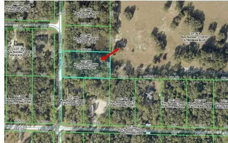 00 Cashew Drive, Webster, FL 33597 - #1