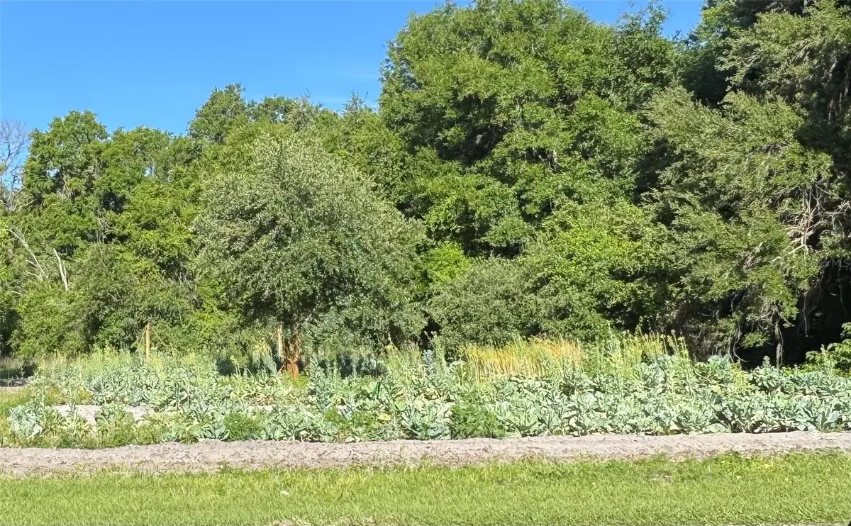 00 County Road 213, Wildwood, FL 34785 - #1