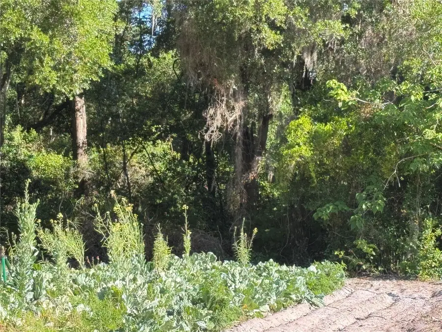 00 County Road 213, Wildwood, FL 34785 - #2