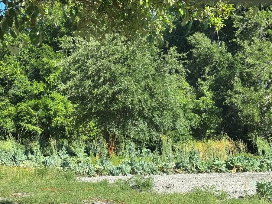 00 County Road 213, Wildwood, FL 34785 - #3