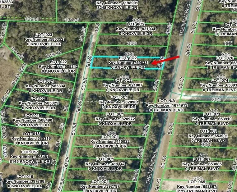 Knoxville Drive, Webster, FL 33597 - #1