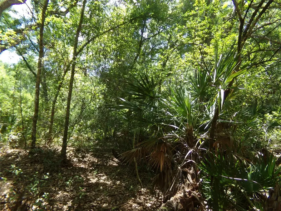 Knoxville Drive, Webster, FL 33597 - #2